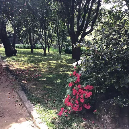 Quinta Do Sardao 3* Tregosa