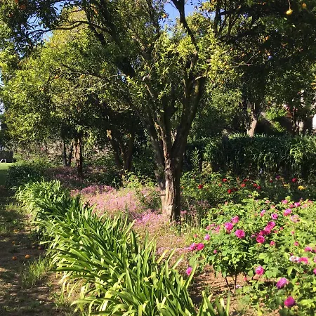 Quinta Do Sardao Отель Tregosa