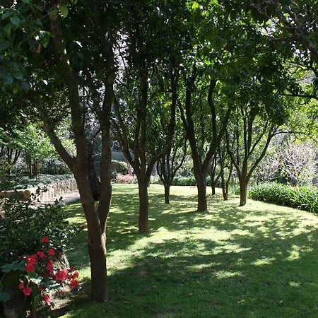 Quinta Do Sardao Tregosa