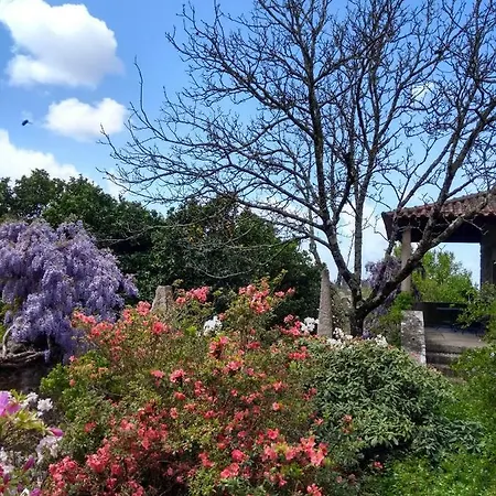 Hotel Quinta Do Sardao