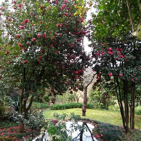 Quinta Do Sardao Hotel 3*